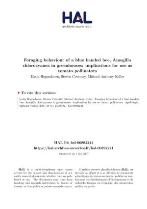 Foraging Behaviour of a Blue Banded Bee, Amegilla Chlorocyanea In