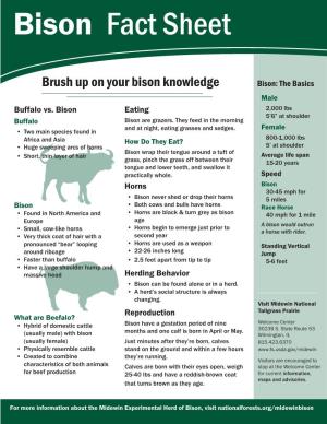 Bison Fact Sheet