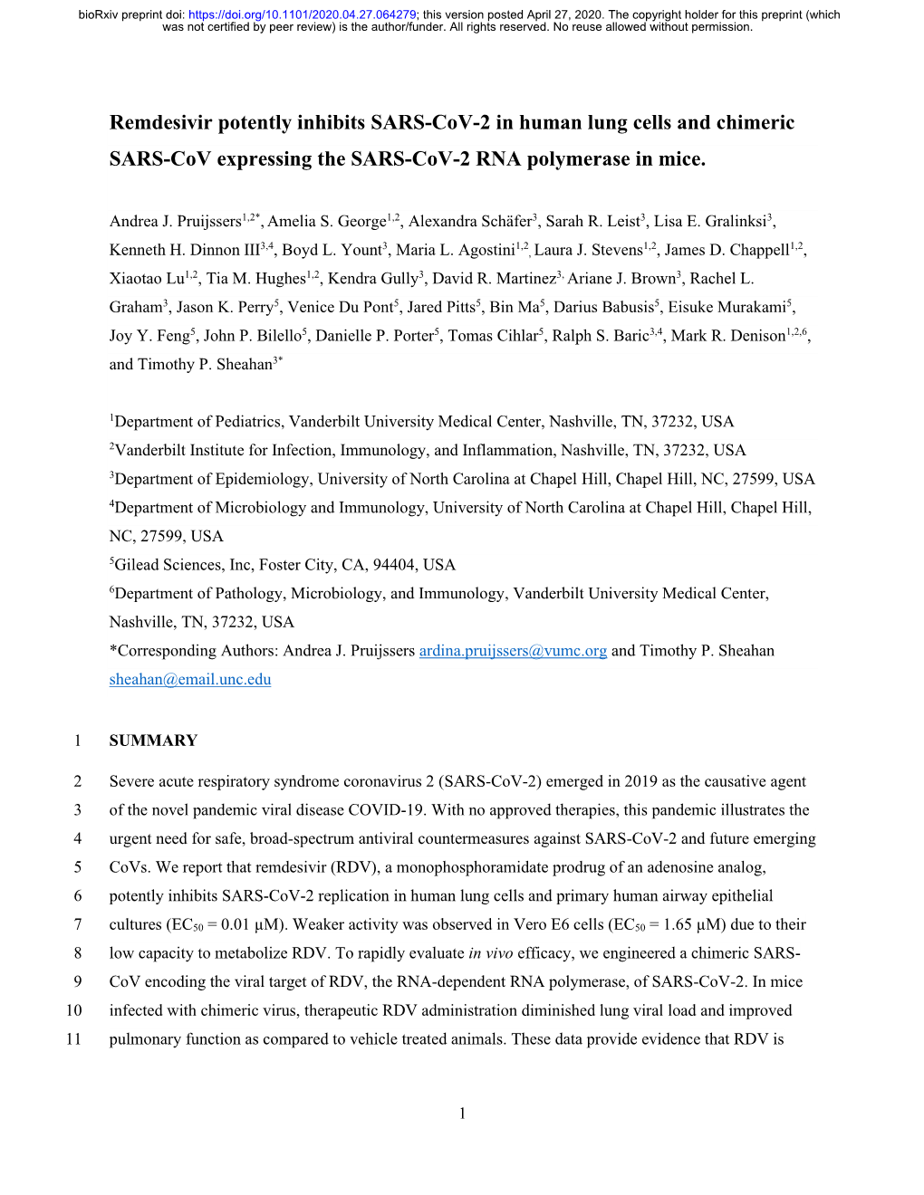 Remdesivir Potently Inhibits SARS-Cov-2 in Human Lung Cells and Chimeric