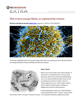This Is How You Get Ebola, As Explained by Science