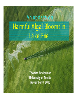 An Update on Harmful Algal Blooms in Lake Erie (Bridgeman)