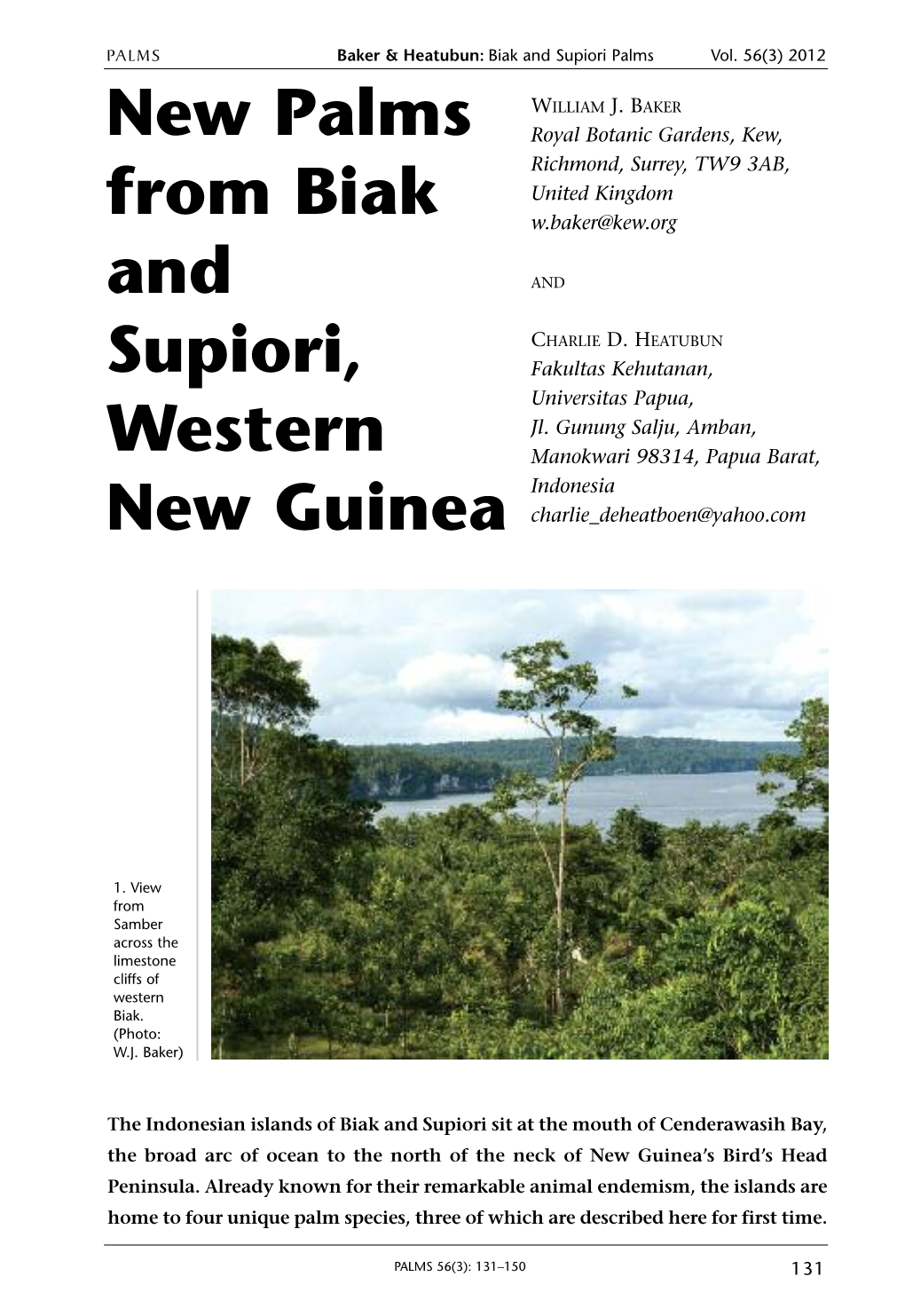 New Palms from Biak and Supiori, Western New Guinea
