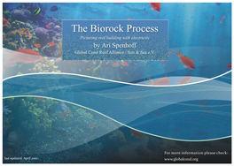 The Biorock Process, Picturing Reef