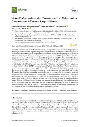 Water Deficit Affects the Growth and Leaf Metabolite Composition Of