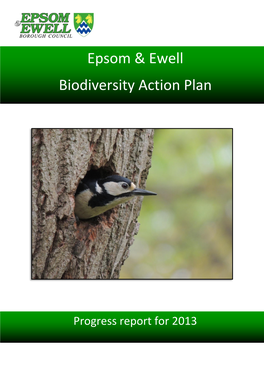 Epsom & Ewell Biodiversity Action Plan