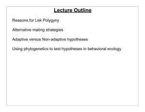 Lecture 13 Leks, Adaptation, Phylogenetic Tests