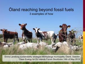 Öland Reaching Beyond Fossil Fuels 3 Examples of How