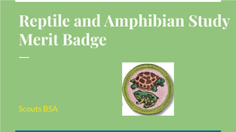 Reptile and Amphibian Study Merit Badge