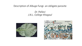 Description of Albugo Fungi- an Obligate Parasite