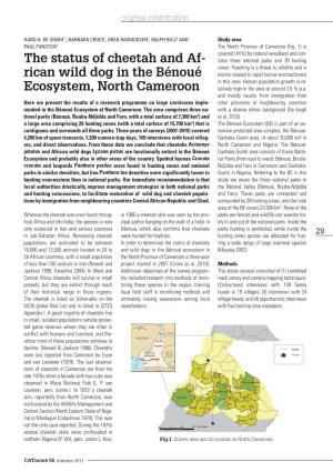 The Status of Cheetah and Af- Rican Wild Dog in the Bénoué Ecosystem, North Cameroon