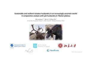 A Comparative Analysis with Yak Husbandry in Tibetan Plateau