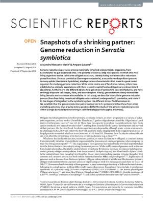 Genome Reduction in Serratia Symbiotica