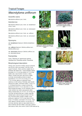 Macrotyloma Uniflorum Scientific Name  Macrotyloma Uniflorum (Lam.) Verdc