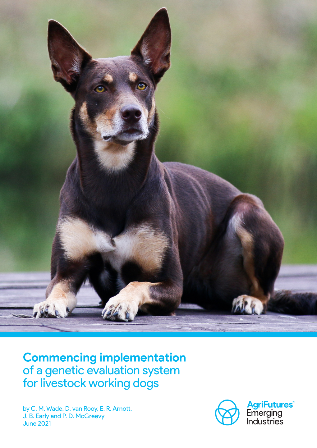 Commencing Implementation of a Genetic Evaluation System for Livestock Working Dogs by C