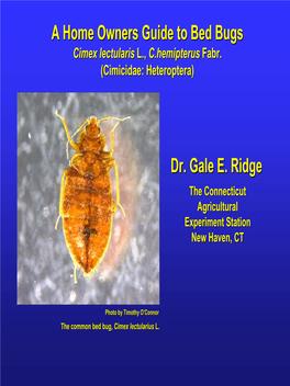 Dr. Gale E. Ridge a Home Owners Guide to Bed Bugs