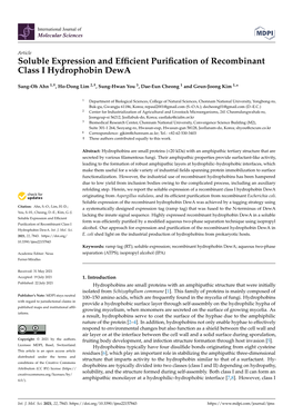 Soluble Expression and Efficient Purification of Recombinant Class I
