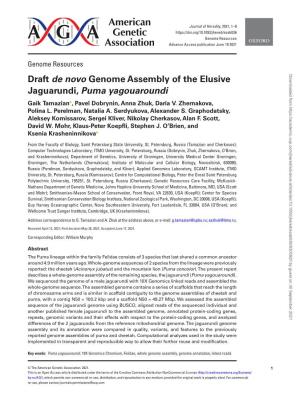 Draft De Novo Genome Assembly of the Elusive Jaguarundi, Puma Yagouaroundi Gaik Tamazian , Pavel Dobrynin, Anna Zhuk, Daria V