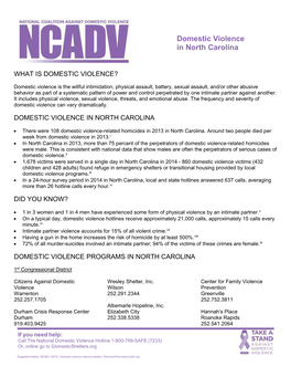 Domestic Violence in North Carolina