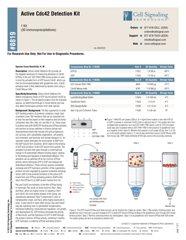 Active Cdc42 Detection Kit 2012 09/20 B a Additional Materialsrequired D C #8819 NOTE: Add1mmpmsfimmediatelypriortouse