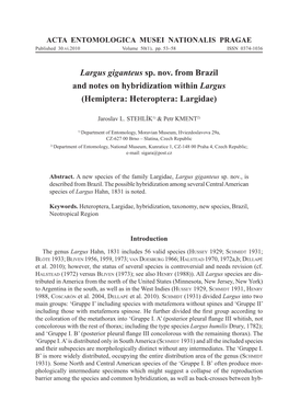 Largus Giganteus Sp. Nov. from Brazil and Notes on Hybridization Within Largus (Hemiptera: Heteroptera: Largidae)