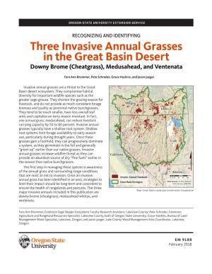 Three Invasive Annual Grasses in the Great Basin Desert Downy Brome (Cheatgrass), Medusahead, and Ventenata