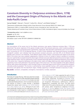 Conotoxin Diversity in Chelyconus Ermineus (Born, 1778) and the Convergent Origin of Piscivory in the Atlantic and Indo-Paciﬁc Cones
