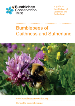 Bumblebees of Caithness and Sutherland