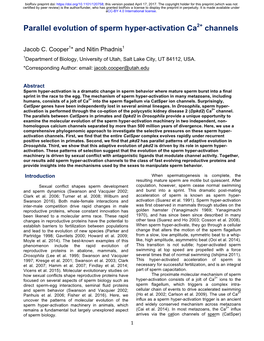 Parallel Evolution of Sperm Hyper-Activation Ca2+ Channels