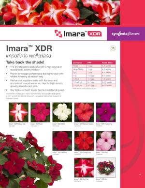 Imara™ XDR Orangecaption Star