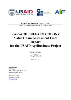 Karachi Buffalo Colony Assessment