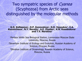 Two Sympatric Species of Cyanea (Scyphozoa) from Arctic Seas Distinguished by the Molecular Methods