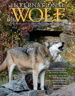 Steady Growth in Mexican Wolf Population Is Cause for Optimism Isle Royale