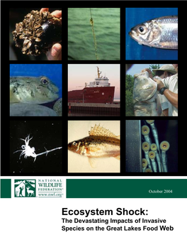 Ecosystem Shock: the Devastating Impacts of Invasive Species on the Great Lakes Food
