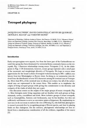 Tetrapod Phylogeny