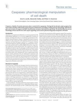 Caspases: Pharmacological Manipulation of Cell Death Inna N