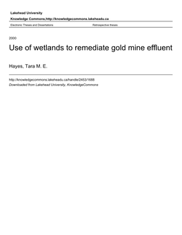 Use of Wetlands to Remediate Gold Mine Effluent