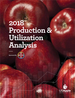 2018 Production & Utilization Analysis