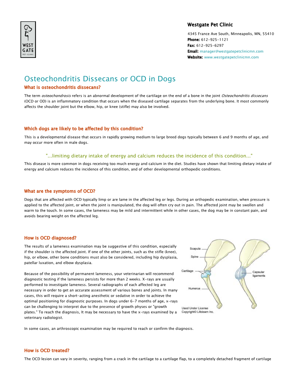 (IFRAME) Osteochondritis Dissecans Or OCD in Dogs