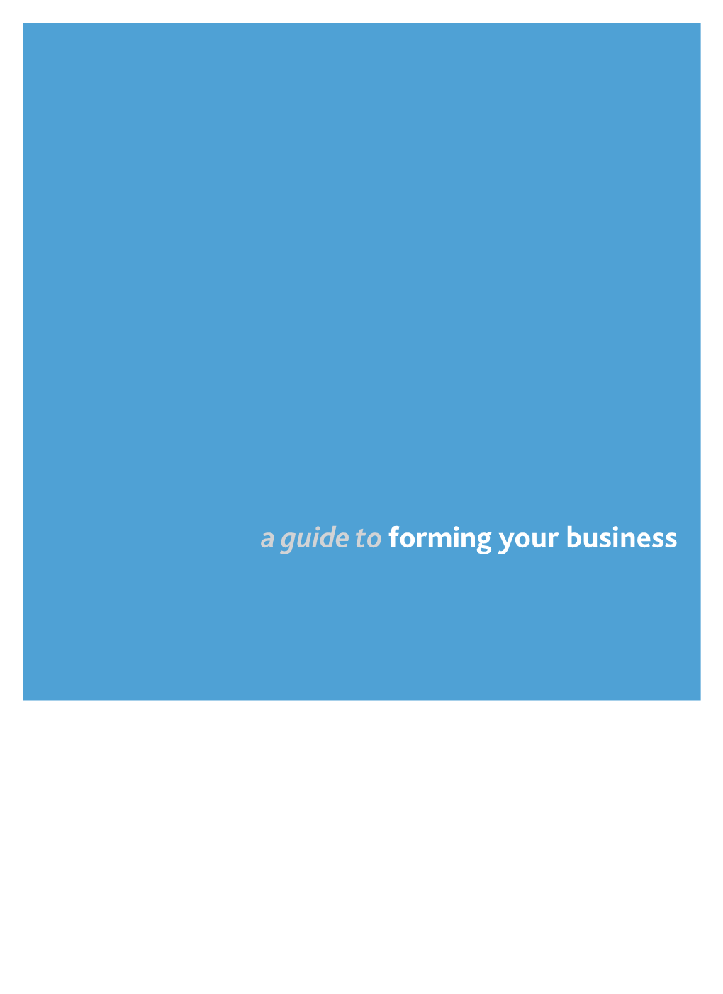 A Guide Toforming Your Business