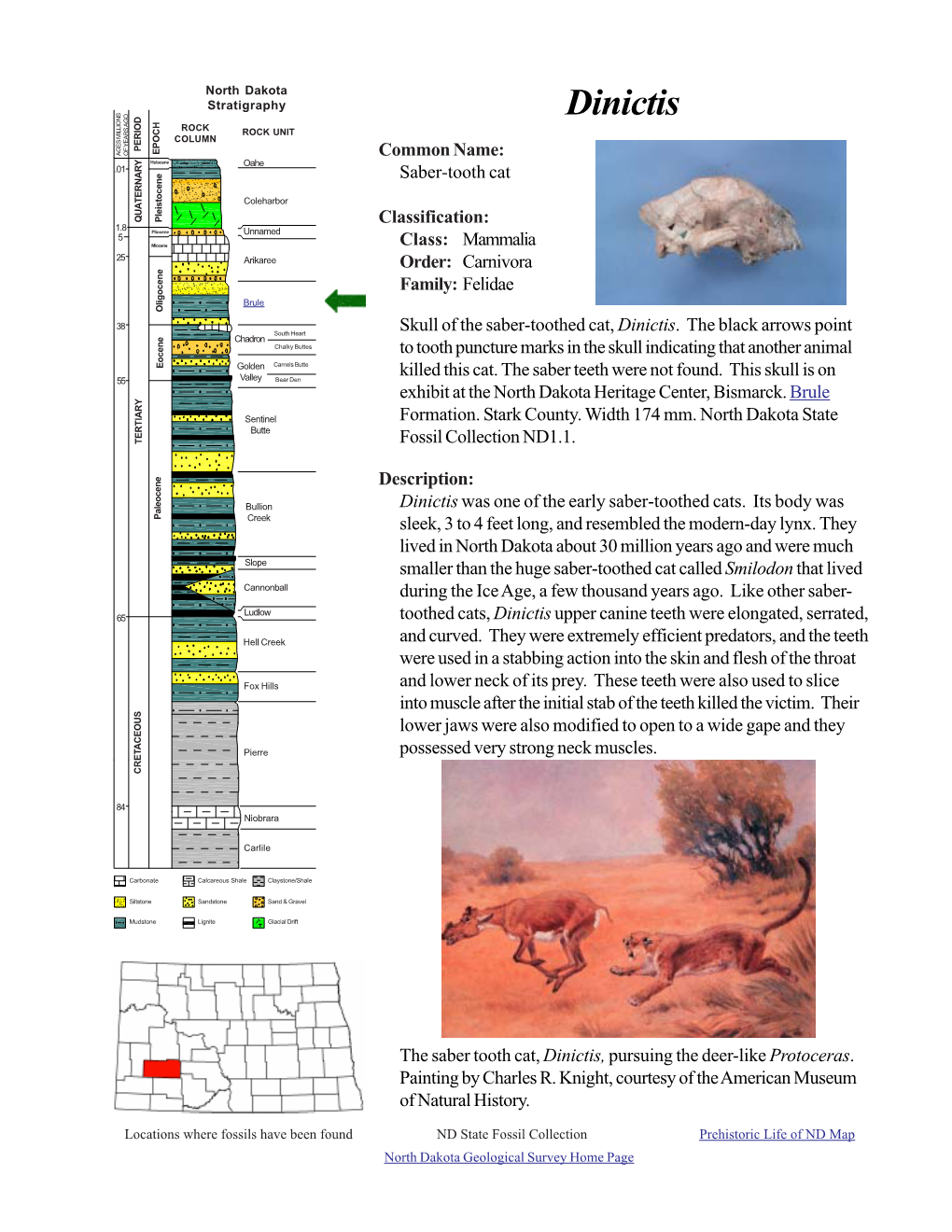 Dinictis ROCK ROCK UNIT COLUMN PERIOD EPOCH AGES MILLIONS of YEARS AGO Common Name: Holocene Oahe .01 Saber-Tooth Cat