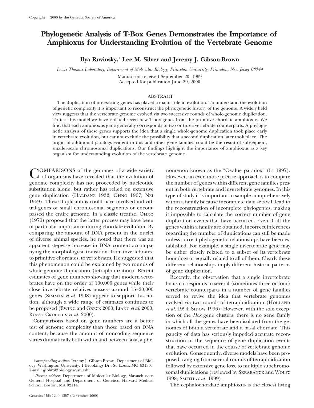 Phylogenetic Analysis of T-Box Genes Demonstrates the Importance of Amphioxus for Understanding Evolution of the Vertebrate Genome