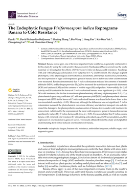 The Endophytic Fungus Piriformospora Indica Reprograms Banana to Cold Resistance