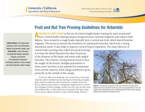 Fruit and Nut Tree Pruning Guidelines for Arborists
