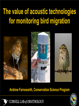 The Value of Acoustic Technologies for Monitoring Bird Migration