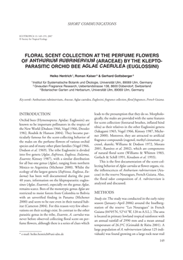 Floral Scent Collection at the Perfume Flowers of Anthurium Rubrinervium (Araceae) by the Klepto- Parasitic Orchid Bee Aglae Caerulea (Euglossini)