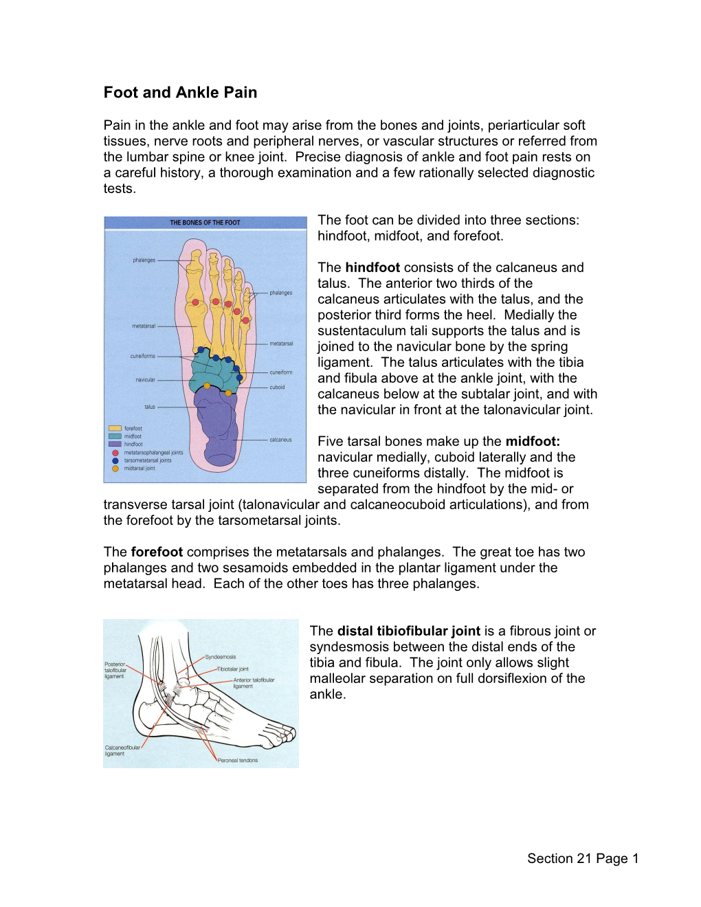 Foot and Ankle Pain