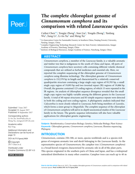 The Complete Chloroplast Genome of Cinnamomum Camphora and Its Comparison with Related Lauraceae Species