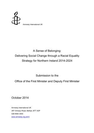 A Sense of Belonging: Delivering Social Change Through a Racial Equality Strategy for Northern Ireland 2014-2024