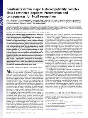 Constraints Within Major Histocompatibility Complex Class I Restricted Peptides: Presentation and Consequences for T-Cell Recognition