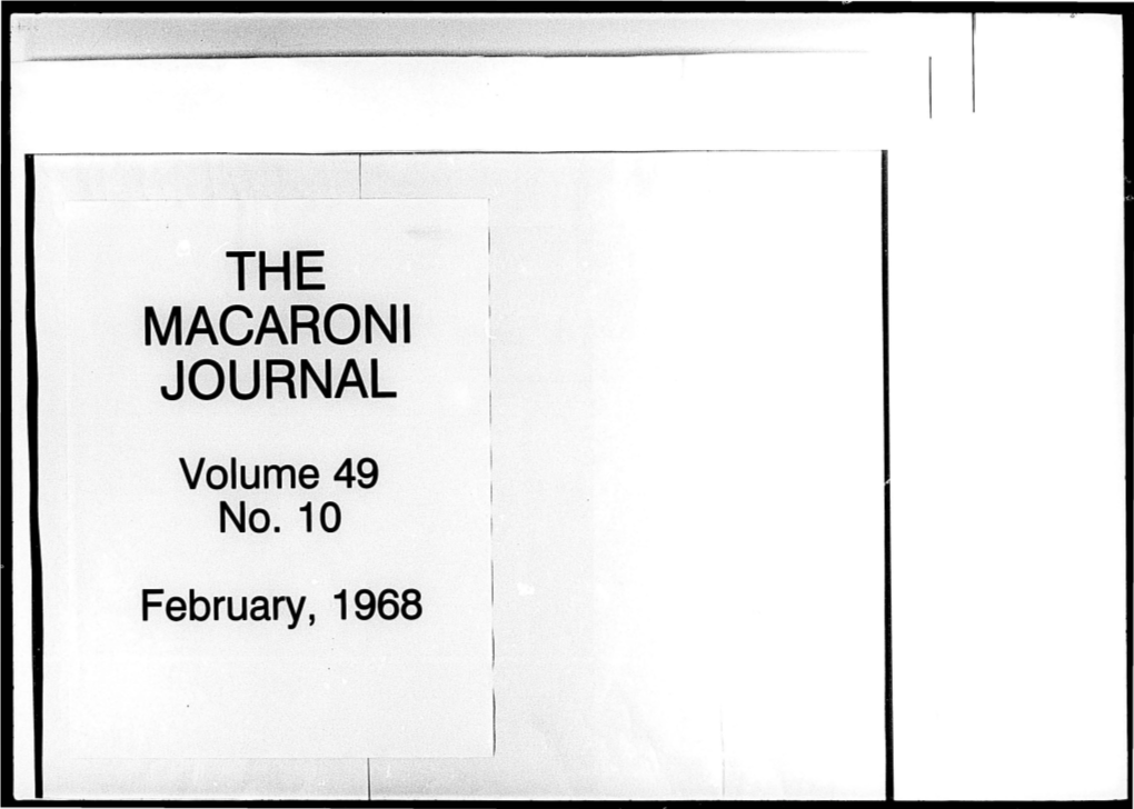 Macaroni Journal